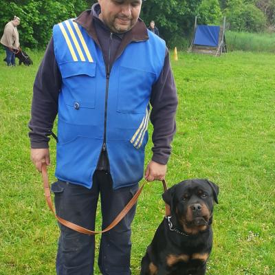 20230507 T'SNIPPER LE ROTTWEILLER