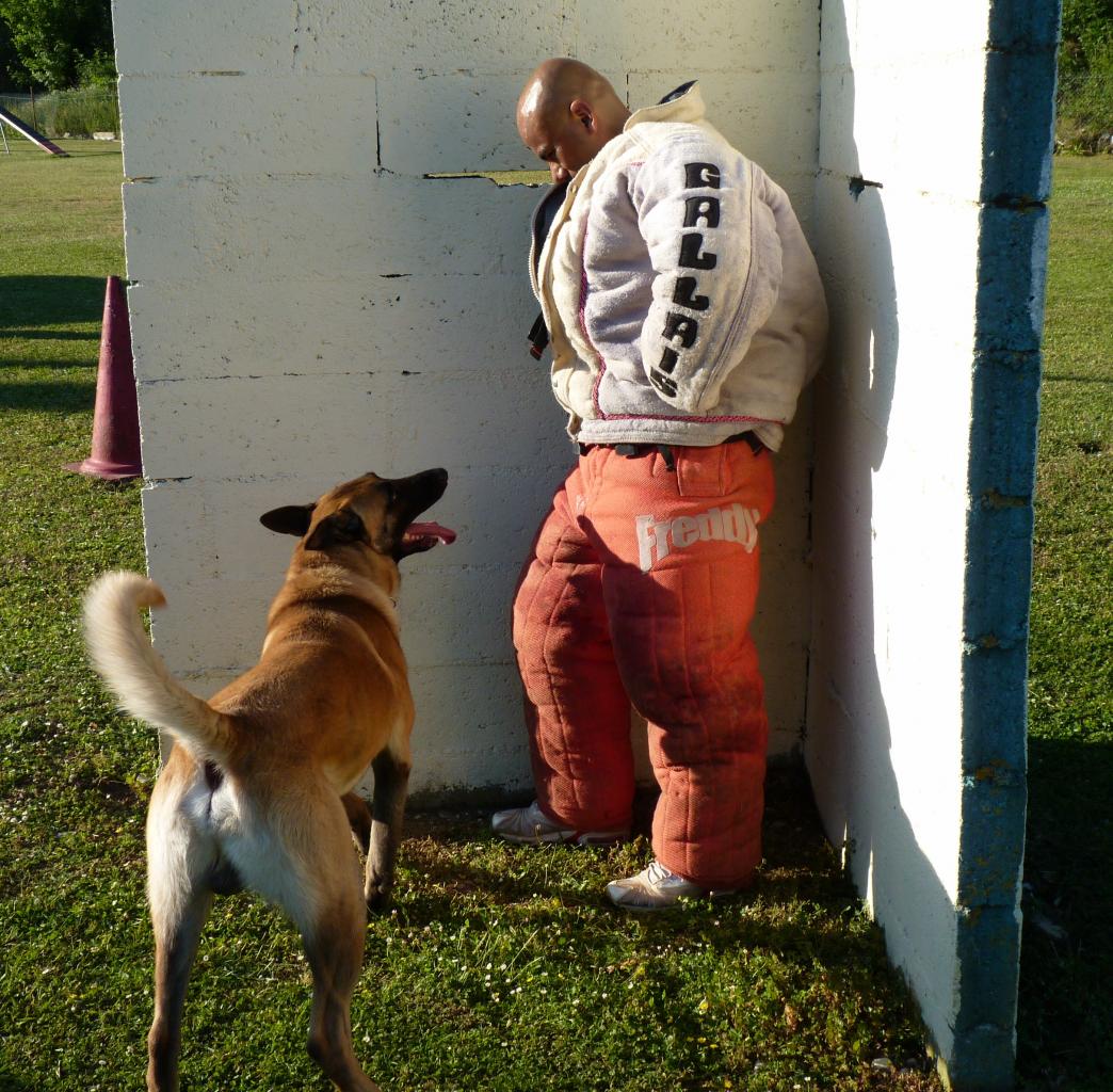 HITO GARDE AU FERME TCHUM