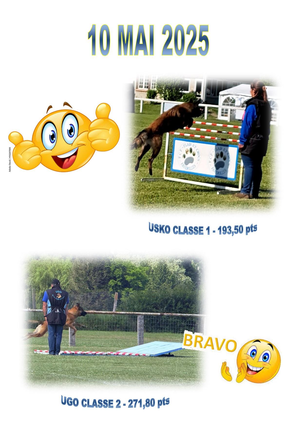 Concours ring faverolles 3