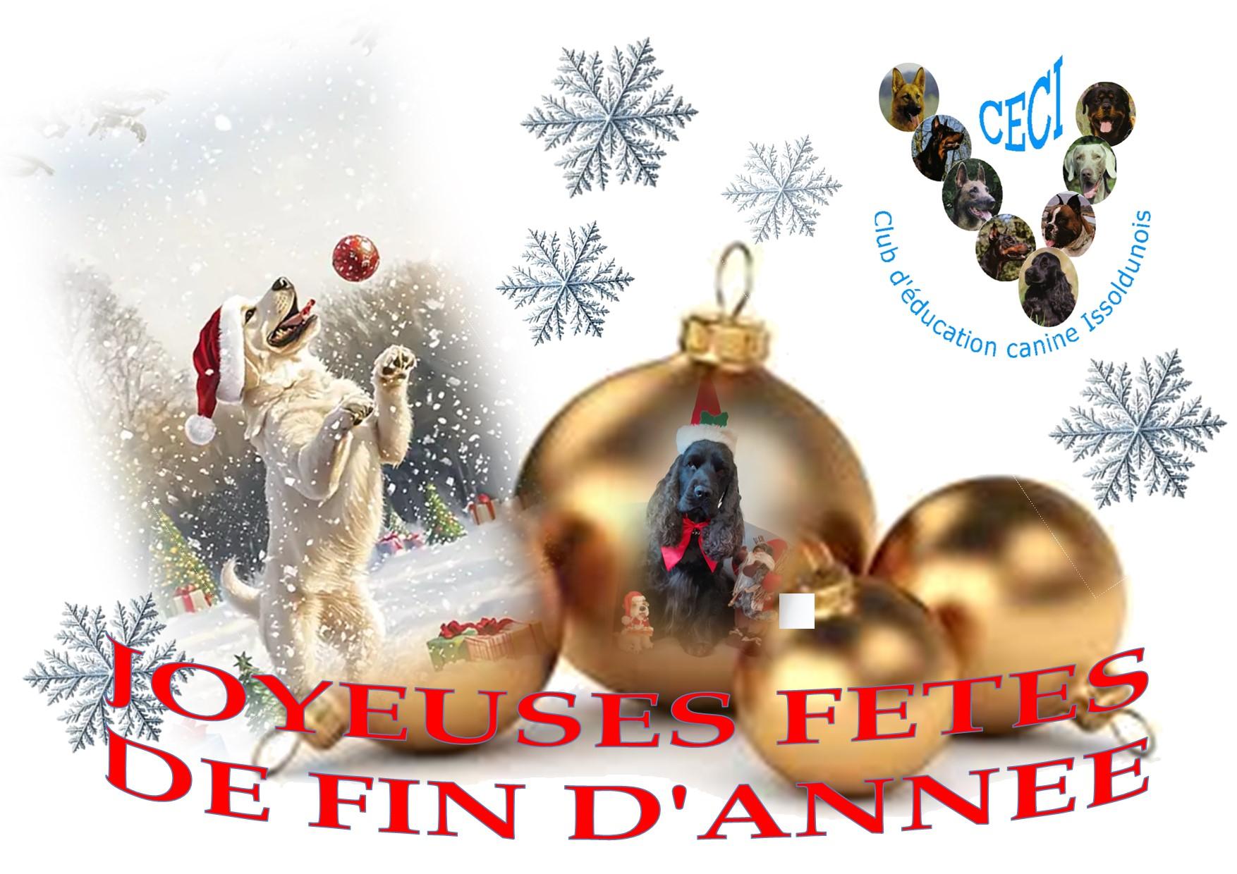 Joyeuses fetes de fin d annees