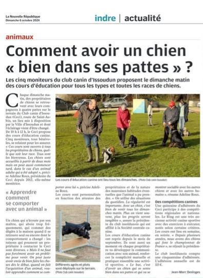 Un chien bien dans ses 4 pattes